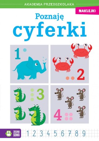 Książeczka edukacyjna Akademia przedszkolaka. Poznaję cyferki Zielona Sowa
