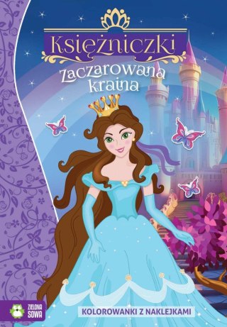 Książeczka edukacyjna Zaczarowana kraina Zielona Sowa