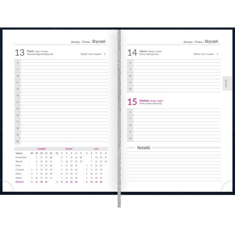 Kalendarz książkowy (terminarz) 5904017437413 Basic 2025 A5 Top 2000 (400189202)