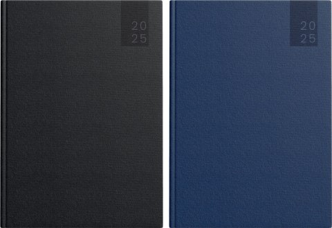 Kalendarz książkowy (terminarz) 5904017437451 Basic 2025 A5 Top 2000 (400189203)