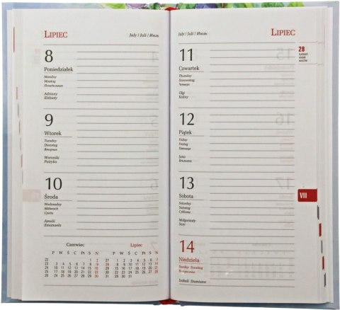 Kalendarz książkowy (terminarz) kieszonkowy 90mm x 161mm Michalczyk i Prokop (T-231F)