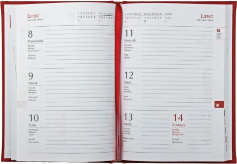 Kalendarz książkowy (terminarz) terminarz B6 128mm x 173mm Michalczyk i Prokop (T215V)