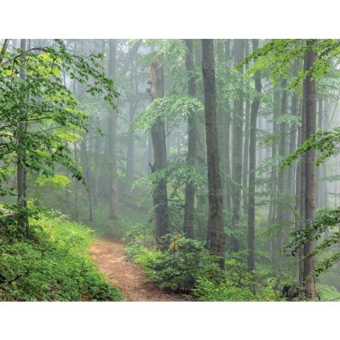 Kalendarz ścienny 13-planszowe 320mm x 470mm Lucrum (RW04)