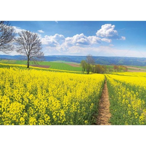 Kalendarz ścienny Pejzaże Polski rodzinny 2023 280mm x 200mm Lucrum (WL03)