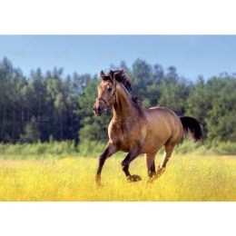 Kalendarz ścienny konie w plenerze rodzinny 280mm x 200mm Lucrum (WL10)