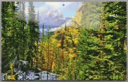 Kalendarz ścienny ścienne Darrieus