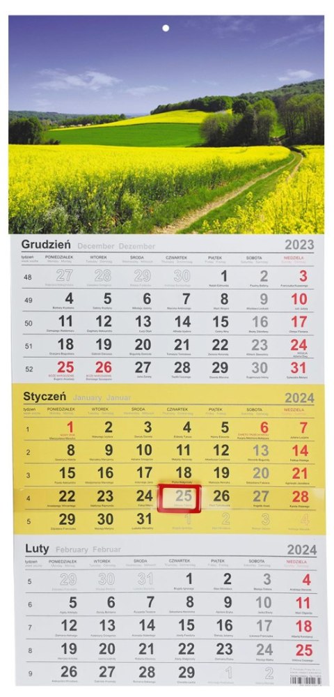 Kalendarz ścienny trójdzielny 288mm x 622mm Michalczyk i Prokop (T-106T-01)