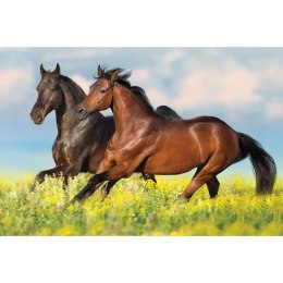 Kalendarz ścienny trójdzielny 855mm x 315mm Michalczyk i Prokop (T-105T-12)