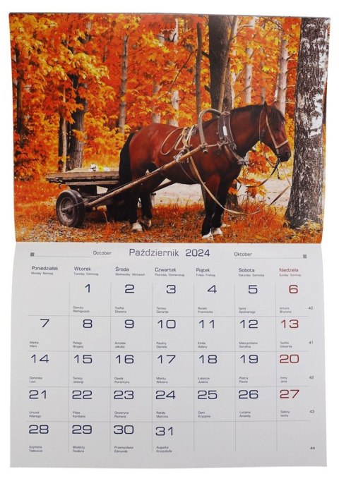 Kalendarz ścienny wieloplanszowy 200mm x 280mm Michalczyk i Prokop (TW-10-6)