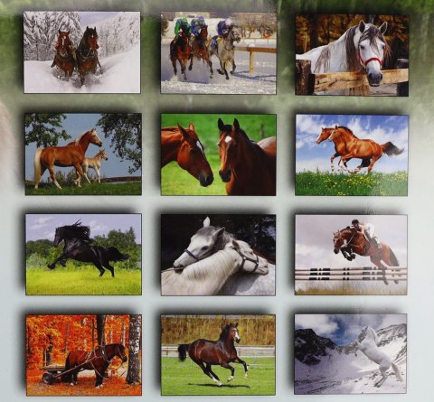 Kalendarz ścienny wieloplanszowy 200mm x 280mm Michalczyk i Prokop (TW-10-6)