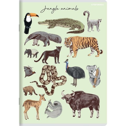 Zeszyt PP A5 32k. krata Top 2000 (400174505)