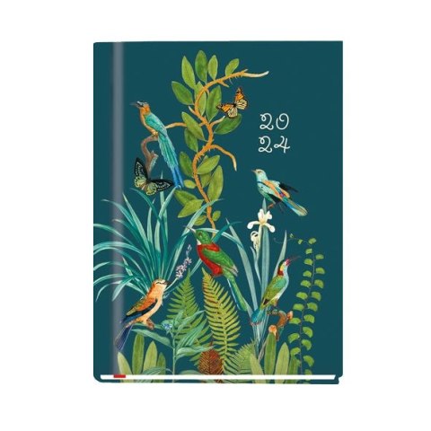 Kalendarz książkowy (terminarz) Ola A6 148mm x 105mm Michalczyk i Prokop (T-212V-C,N,P,S,Z)