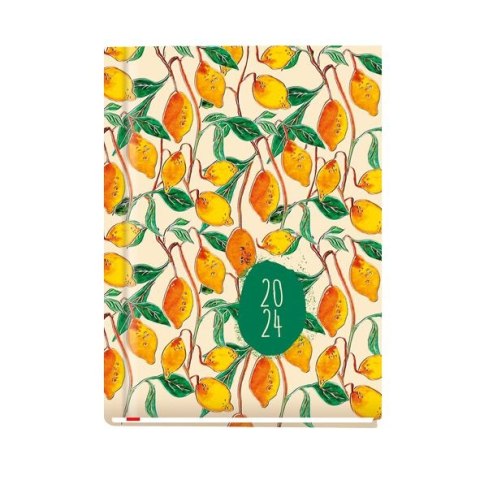 Kalendarz książkowy (terminarz) Ola A6 148mm x 105mm Michalczyk i Prokop (T-212V-C,N,P,S,Z)