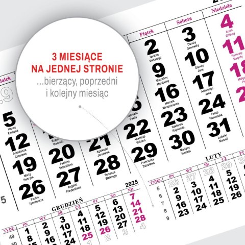 Kalendarz ścienny JEDNODZIELNY PIES A4 210mm x 295mm Press