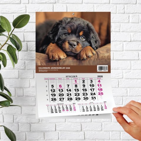 Kalendarz ścienny JEDNODZIELNY PIES A4 210mm x 295mm Press
