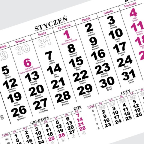 Kalendarz ścienny na lodówkę z magnesem 137mm x 210mm Press (MILUSIŃSCY)