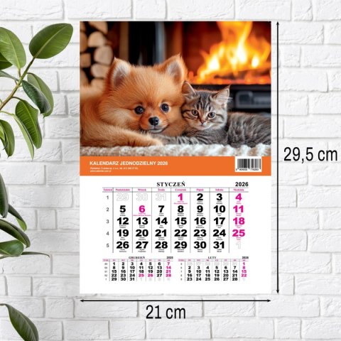 Kalendarz ścienny na lodówkę z magnesem 137mm x 210mm Press (MILUSIŃSCY)