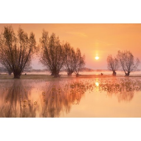 Kalendarz ścienny trójdzielny 855mm x 315mm Michalczyk i Prokop (T-105T-06)