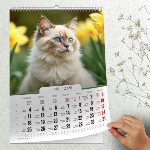 Kalendarz ścienny 16 stron wieloplanszowy A3 Press (KOTY)
