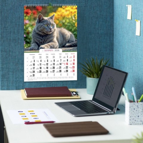 Kalendarz ścienny 16 stron wieloplanszowy A3 Press (KOTY)