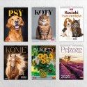 Kalendarz ścienny 16 stron wieloplanszowy A3 Press (KOTY)