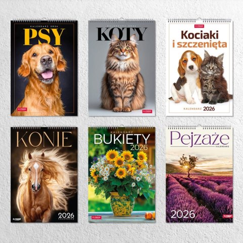 Kalendarz ścienny 16 stron wieloplanszowy A3 Press (KOTY)
