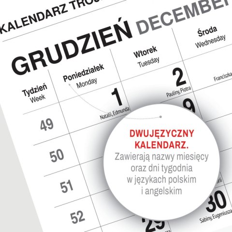 Kalendarz ścienny GÓRY 310mm x 790mm Press