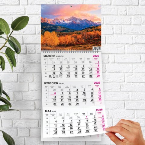 Kalendarz ścienny GÓRY 310mm x 790mm Press