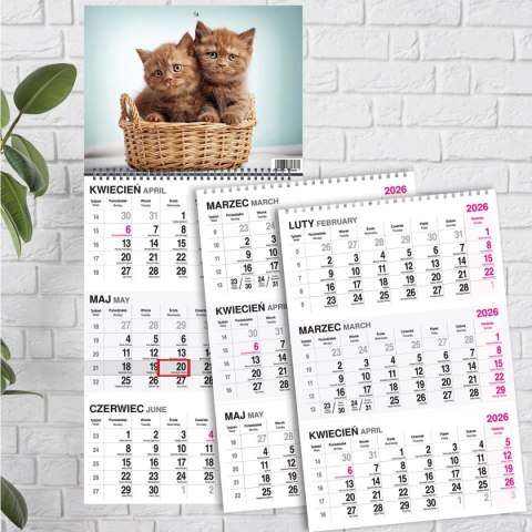 Kalendarz ścienny KOT 310mm x 790mm Press