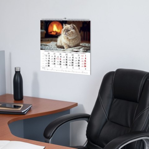 Kalendarz ścienny KOTY 33x33 330mm x 330mm Press