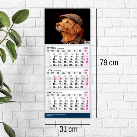 Kalendarz ścienny PREMIUM trójdzielny A4 Press (PIES)