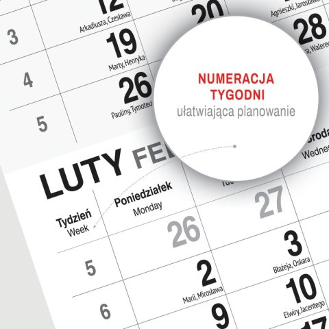 Kalendarz ścienny WIDOK 310mm x 790mm Press