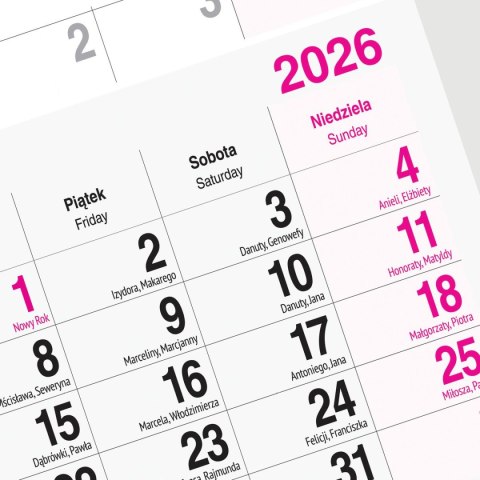 Kalendarz ścienny WIDOK 310mm x 790mm Press