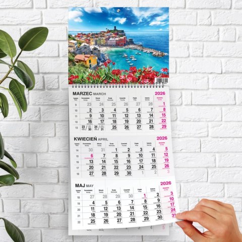 Kalendarz ścienny WIDOK 310mm x 790mm Press