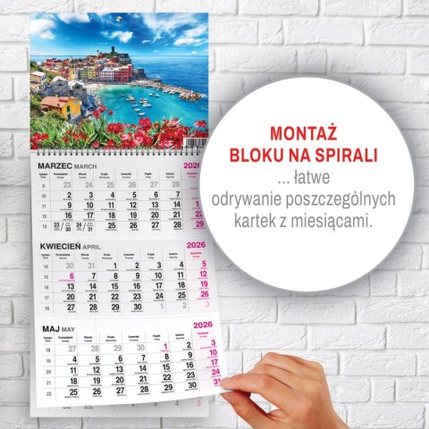 Kalendarz ścienny WIDOK 310mm x 790mm Press