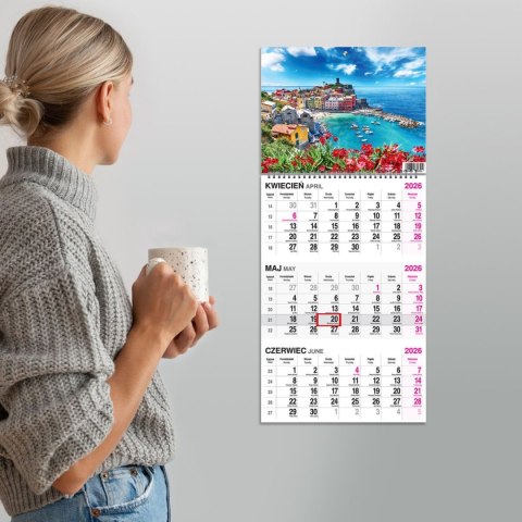 Kalendarz ścienny WIDOK 310mm x 790mm Press