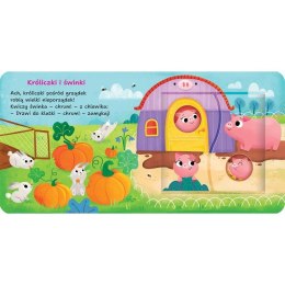 Książka dla dzieci Na wsi. Aksjomat