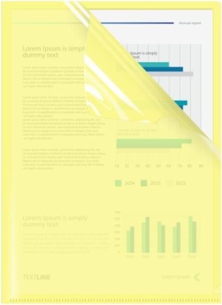 Ofertówka A4 kolor: złota typu L Biurfol (OFP-A4-03)