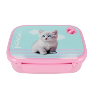 Śniadaniówka kitty Starpak (558657)