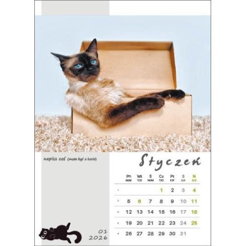 Kalendarz ścienny KOT W BIURZE WIELOPLANSZOWY A3 Jotan (WP136)