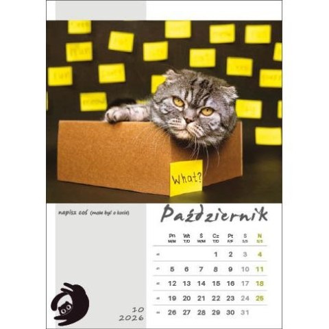 Kalendarz ścienny KOT W BIURZE WIELOPLANSZOWY A3 Jotan (WP136)