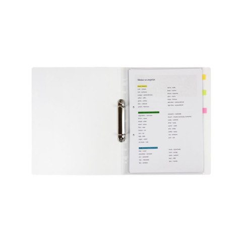 Segregator ringowy BUBBLE TEA A4 mix Biurfol (SEN-A4-37)