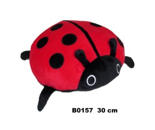 Pluszak biedronka [mm:] 300 (162717)