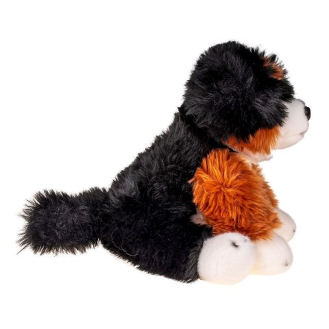 Pluszak pies fluffy 30 cm [mm:] 300 Anek (84404MT AN01)