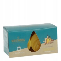 Świeca ScentMoods wosk zapachowy Musk & Wood 12 sztuk Pavoncella (8720935400233)