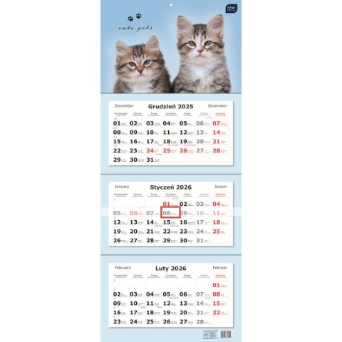 Kalendarz ścienny TRÓJDZIELNY 825mm x 340mm Interdruk (KOTY)