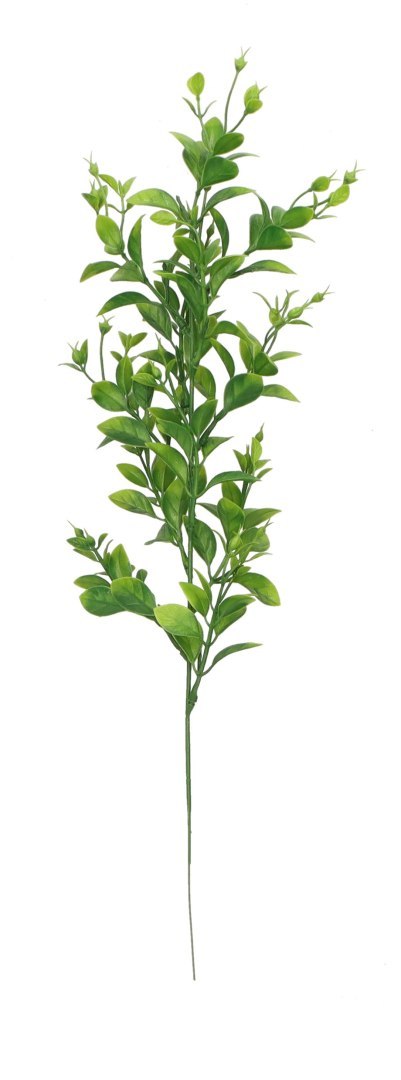 Kwiaty gałązka bukszpanu 50 cm Home And Garden (2026)