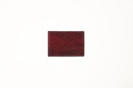 Okładka na dokumenty eko na dokumenty ucznia Okładka na dokumenty ucznia z ekoskóry (nowe) Folprim