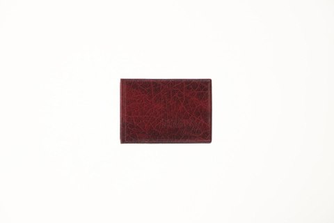 Okładka na dokumenty eko na dokumenty ucznia Okładka na dokumenty ucznia z ekoskóry (nowe) Folprim