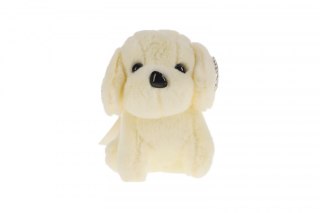 Brelok piesek cyrkonie mix (TT5151)